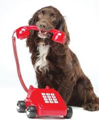 contact1