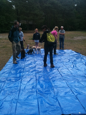 foto cursus 1