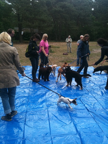 foto cursus 2