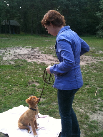 foto cursus 5