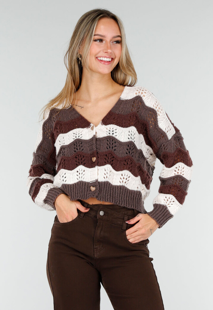 bruine-vest-247wqv-1.jpg bruine vest - Afbeelding 1